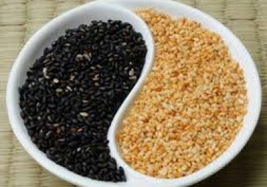 Thần Dược trong sự mông muội của nhận thức (1)